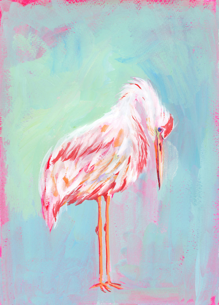 Gentle Pink Ibis | Poster