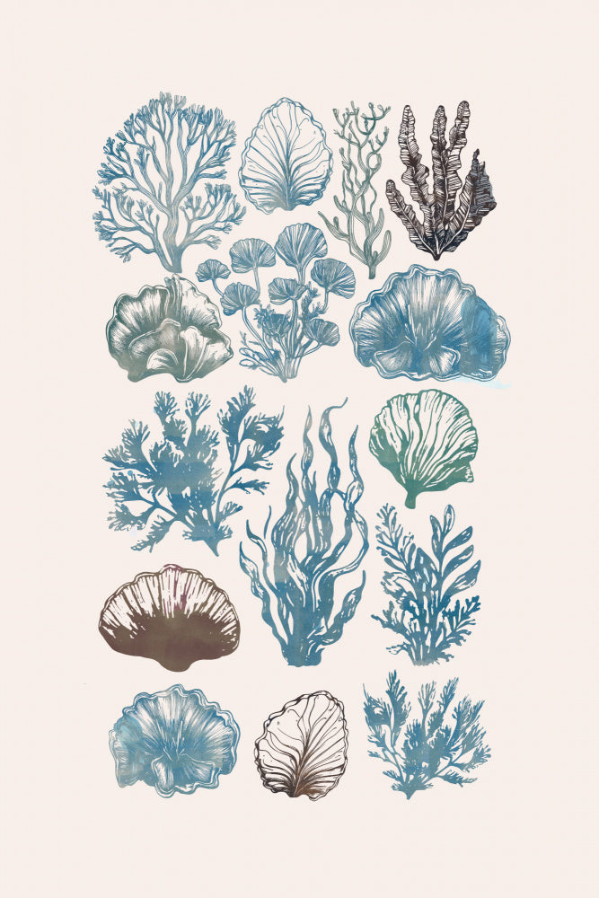 Vintage Marine Flora | Poster