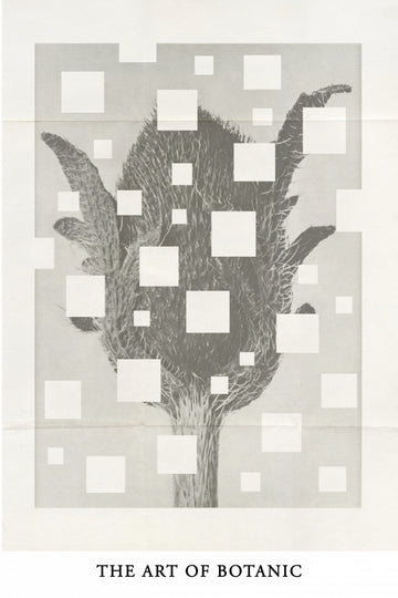 The art of botanic No.3 | Poster