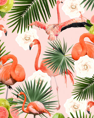 Flamingos Tropical Guava Bliss | Canvas