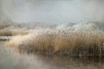 Wintermorning | Canvas