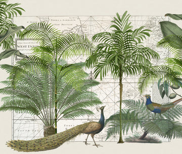 Tropical Map Wildlife | Poster