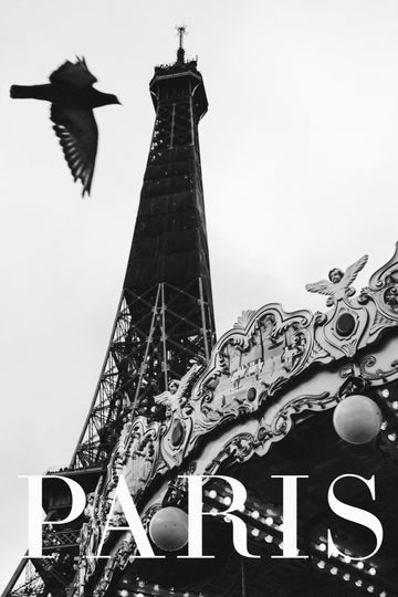 Paris Dove | Canvas