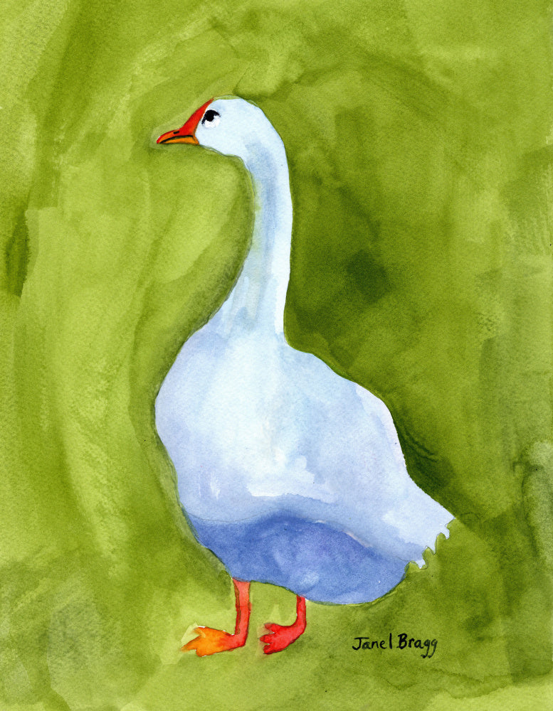 Elegant White Goose | Canvas