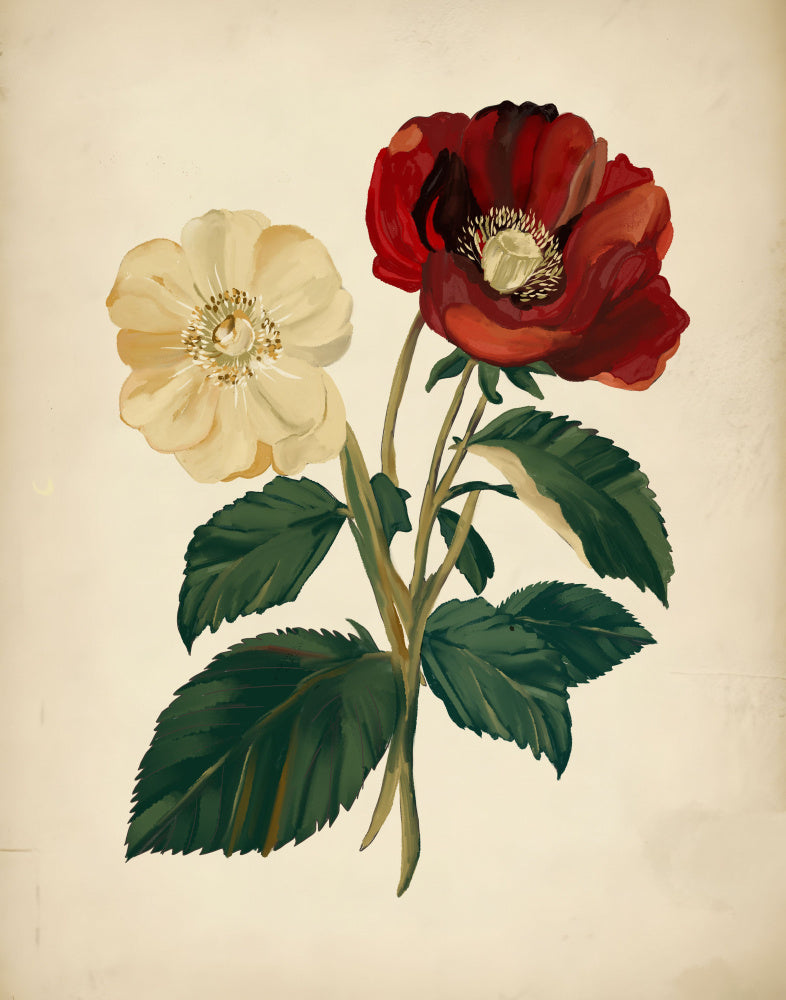 Elegant Red Yellow Flowers | Canvas