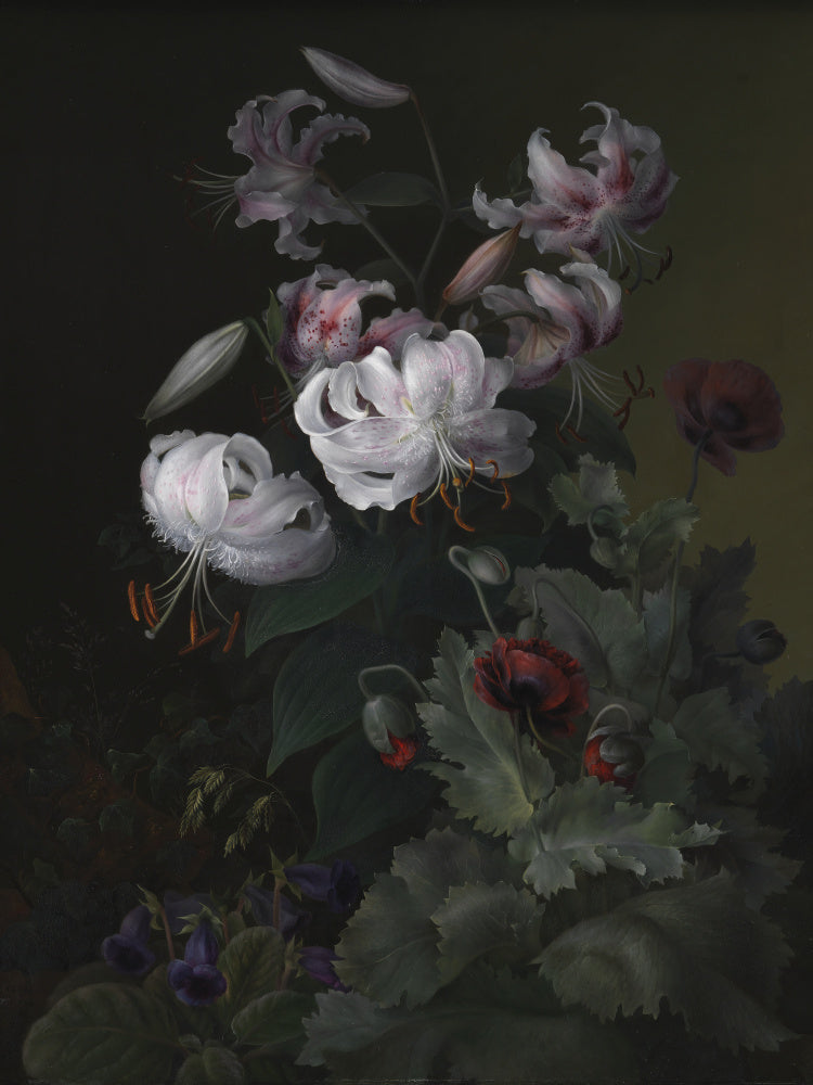 Flowering Plants | Poster