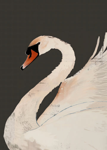 Graceful White Swan | Poster