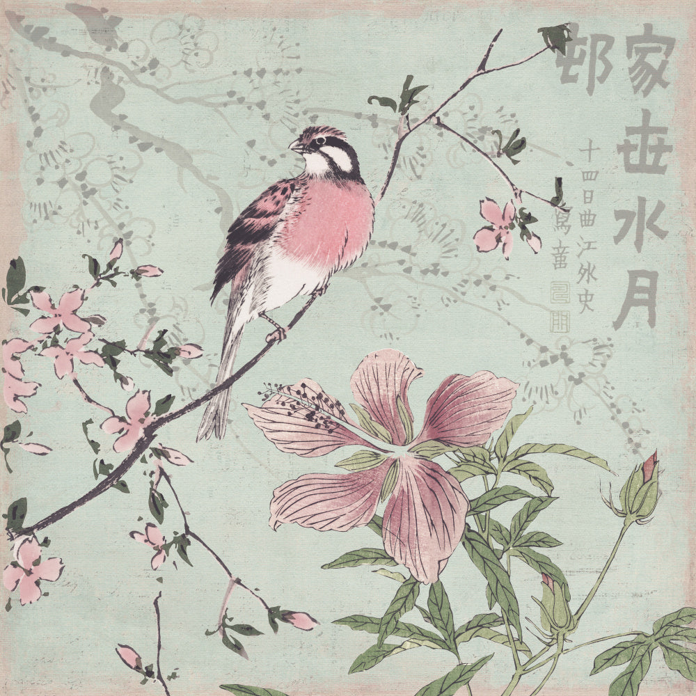 Pink Bird Cherry Blossoms | Canvas
