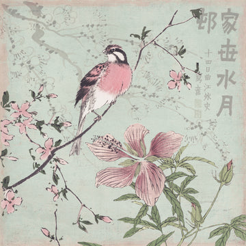 Pink Bird Cherry Blossoms | Poster