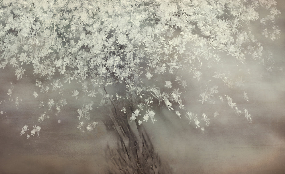 Stars of spring | Canvas