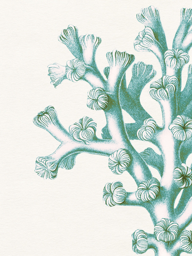 Serene Teal Coral | Canvas