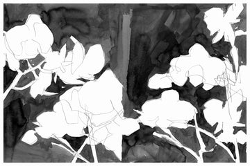 Elegant Night Blooms | Canvas