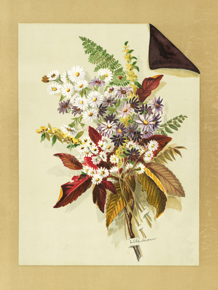 Daisies and Autumn Leaves & Ferns | Poster
