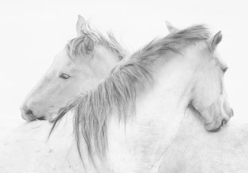 Ethereal White Horses | Poster