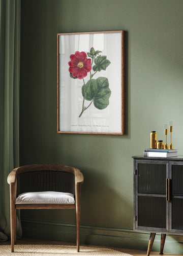Alcea Rosea 1815   Flower Garden Displayed By Francis Sansom | Poster - Room Interior 2