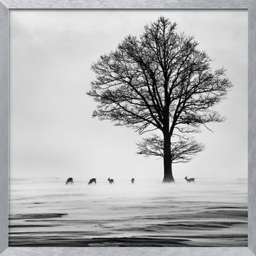 Winter Tree and Deer | Poster - Silver Frame Interior
