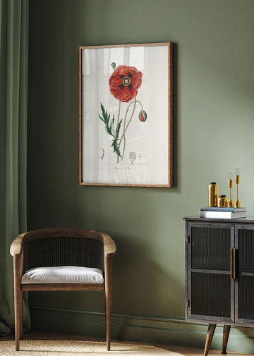 Common Poppy (papaver Rhoeas) Medical Botany | Poster - Room Interior 2