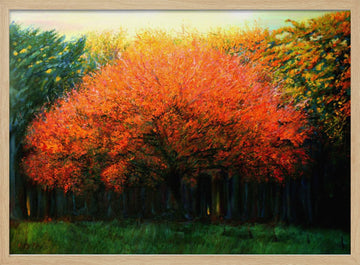 Vibrant Fall Tree | Poster - Wood Frame Interior