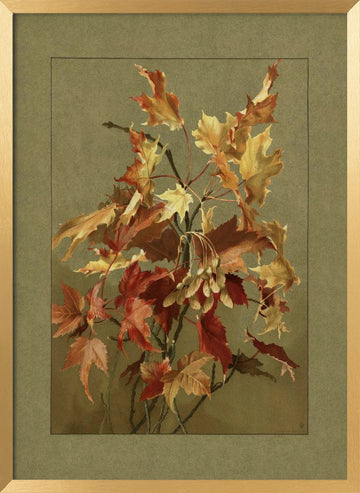 Autumn Leaves, Maple | Poster - Gold Frame Interior