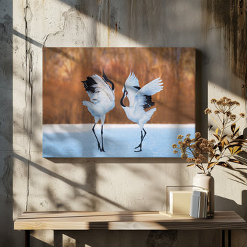 Dancing Red-crowned Cranes | Canvas - Room Interior 2