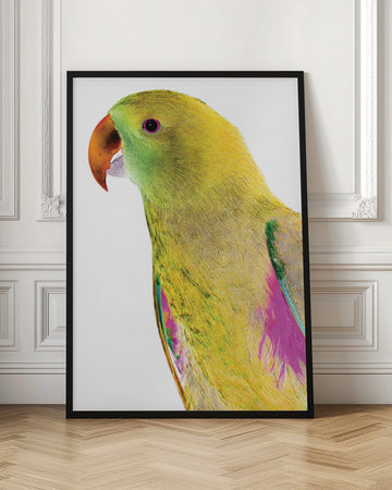 Vibrant Parrot Profile | Poster - Room Interior 1