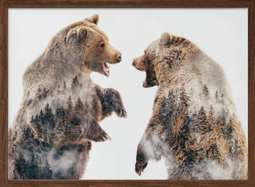 Roaring Forest Bears | Poster - Walnut Frame Interior
