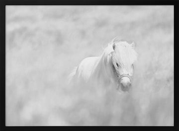 Dreamy White Pony | Poster - Black Metal Frame Interior