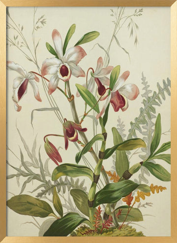 Flowers | Poster - Gold Frame Interior