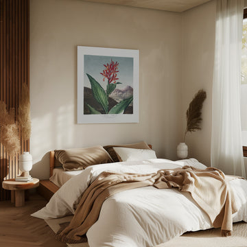 Indian Reed from The Temple of Flora (1807) | Canvas - Room Interior 2