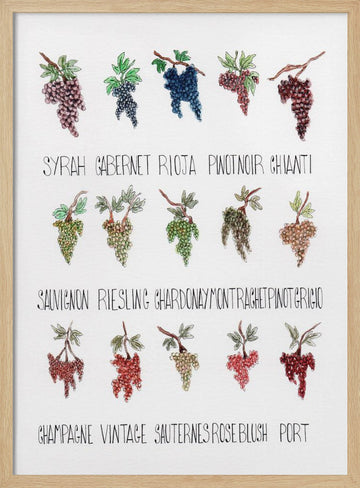 Wine Grape Varieties | Poster - Wood Frame Interior