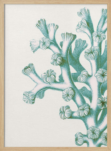 Serene Teal Coral | Poster - Wood Frame Interior