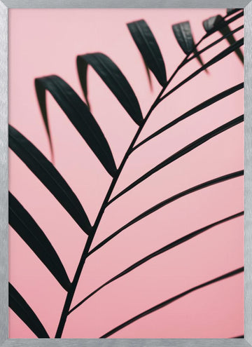 Pink Palm Leaf | Poster - Silver Frame Interior