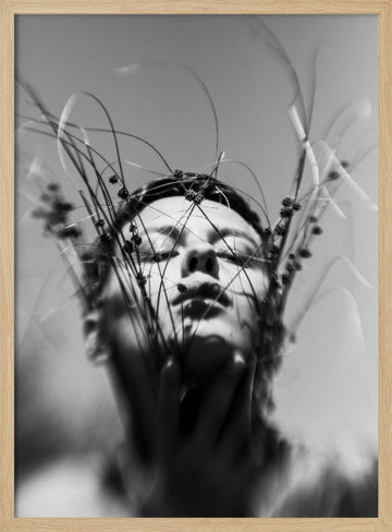 Nature's Serene Embrace | Poster - Wood Frame Interior