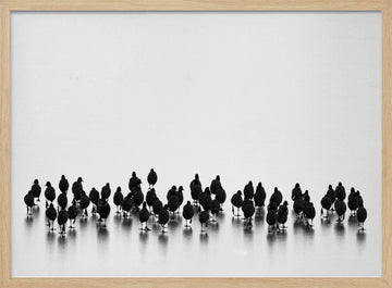 Black Birds On Ice | Poster - Wood Frame Interior