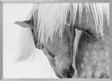 Serene Horse Portrait | Poster - Silver Frame Interior