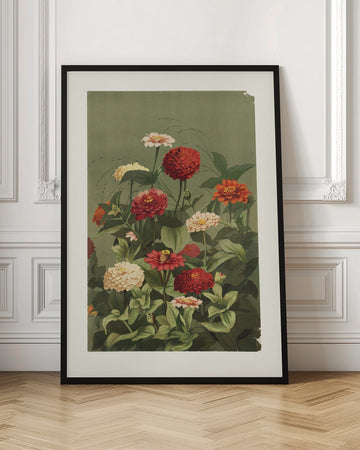 Zinnias By Ellen Thayer Fisher | Poster - Room Interior 1