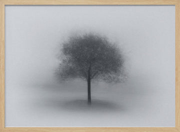 Misty Solitary Tree | Poster - Wood Frame Interior