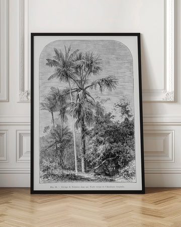 Vintage Palm Tree Drawing Iv | Poster - Room Interior 1