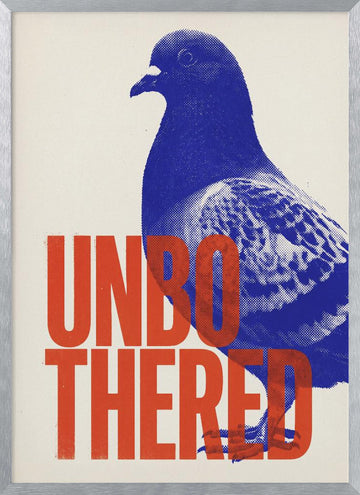Unbothered Pigeon | Poster - Silver Frame Interior