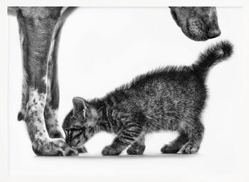 Gentle Dog Kitten | Poster - White Frame Interior