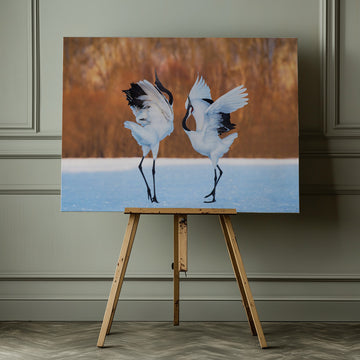 Dancing Red-crowned Cranes | Canvas - Room Interior 1