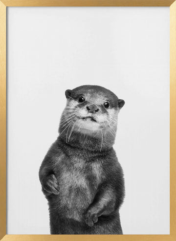 Otter | Poster - Gold Frame Interior