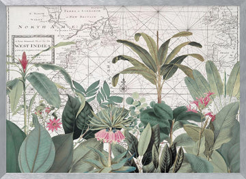 Vintage Map Botanicals | Poster - Silver Frame Interior