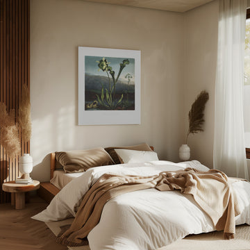 American Bog Plants from The Temple of Flora (1807) | Canvas - Room Interior 2