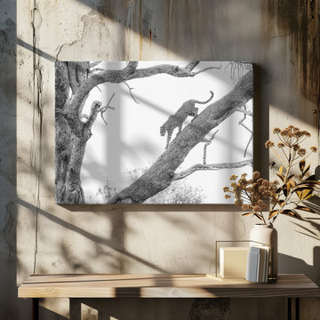 Tree Climbing Leopard | Canvas - Room Interior 2