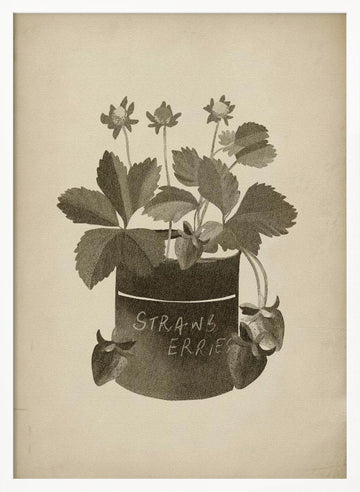 Vintage Strawberry Illustration | Poster - White Frame Interior