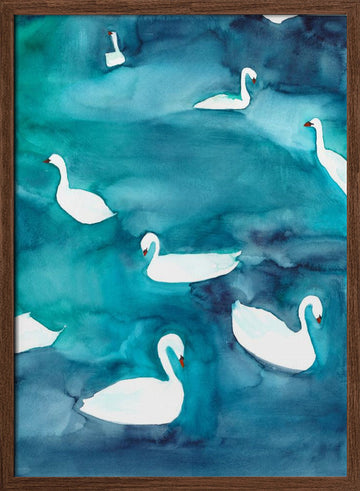 Graceful Swans on Water | Poster - Walnut Frame Interior
