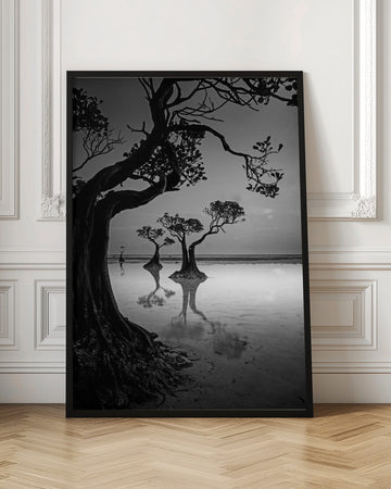Moody Mangrove Landscape | Poster - Room Interior 1