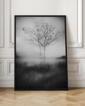 Misty Birch Reflection | Poster - Room Interior 1