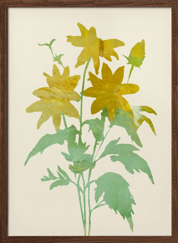 Gentle Yellow Blossoms | Poster - Walnut Frame Interior